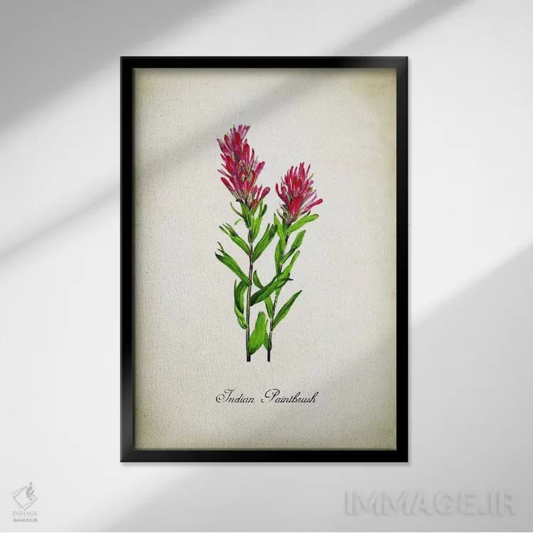 تابلو دکوراتیو گل ایندیان پینتبراش اثر پتنت پرینت استور - نمای قابدار مشکی