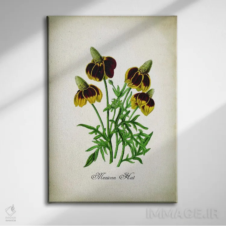 تابلو دکوراتیو کلاه مکزیکی اثر پتنت پرینت استور - نمای روبهرو روی دیوار