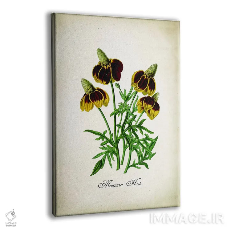 تابلو دکوراتیو کلاه مکزیکی اثر پتنت پرینت استور - نمای پرسپکتیو محصول
