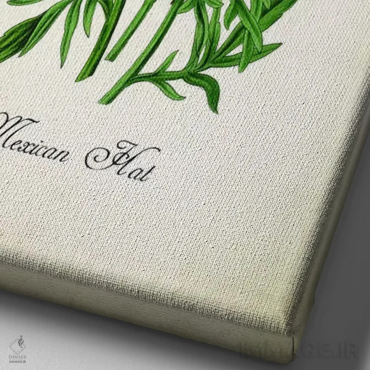 تابلو دکوراتیو کلاه مکزیکی اثر پتنت پرینت استور - نمای نزدیک بافت بوم