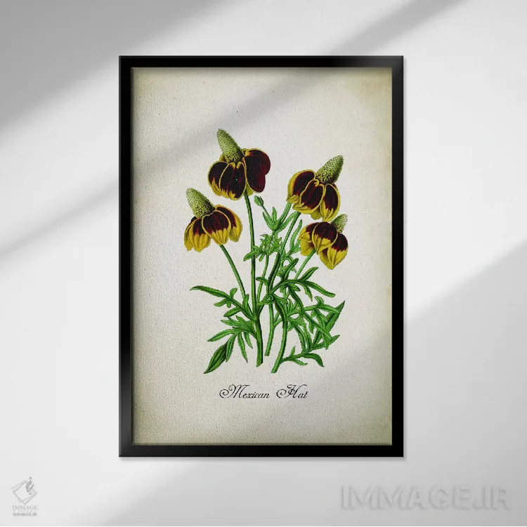 تابلو دکوراتیو کلاه مکزیکی اثر پتنت پرینت استور - نمای قابدار مشکی