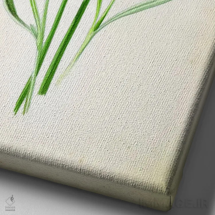 تابلو دکوراتیو اسطوخودوس اثر پتنت پرینت استور - نمای نزدیک بافت بوم