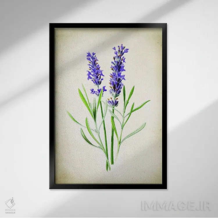 تابلو دکوراتیو اسطوخودوس اثر پتنت پرینت استور - نمای قابدار مشکی