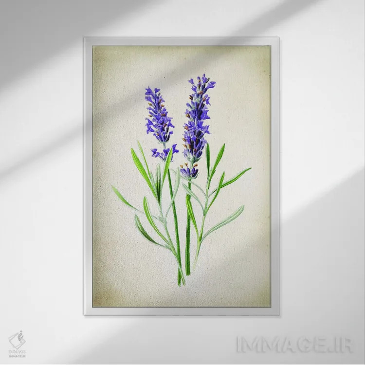 تابلو دکوراتیو اسطوخودوس اثر پتنت پرینت استور - نمای قابدار سفید