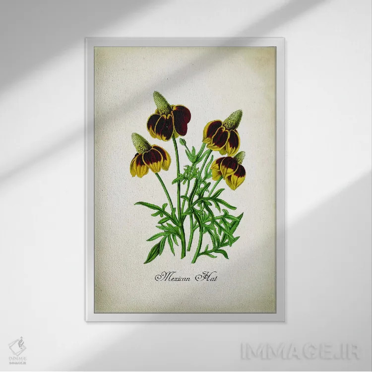 تابلو دکوراتیو کلاه مکزیکی اثر پتنت پرینت استور - نمای قابدار سفید