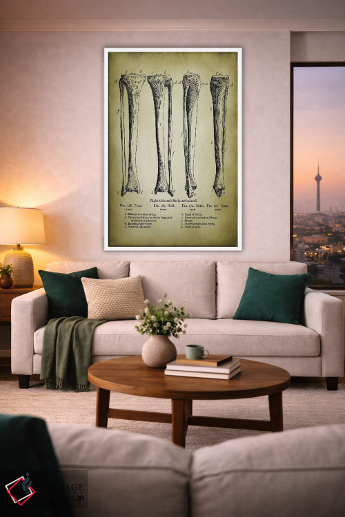 تابلو دکوراتیو استخوان های پا اثر پتنت پرینت استور - D1W