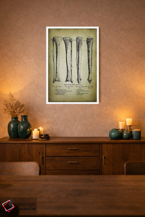 تابلو دکوراتیو استخوان های پا اثر پتنت پرینت استور - D2W