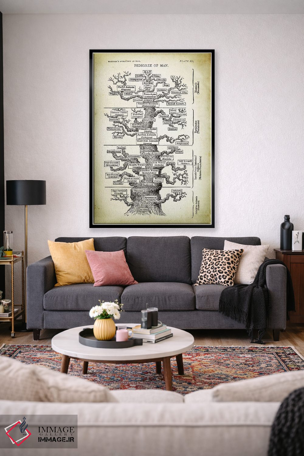 تابلو دکوراتیو شجره نامه انسان اثر پتنت پرینت استور - D3B