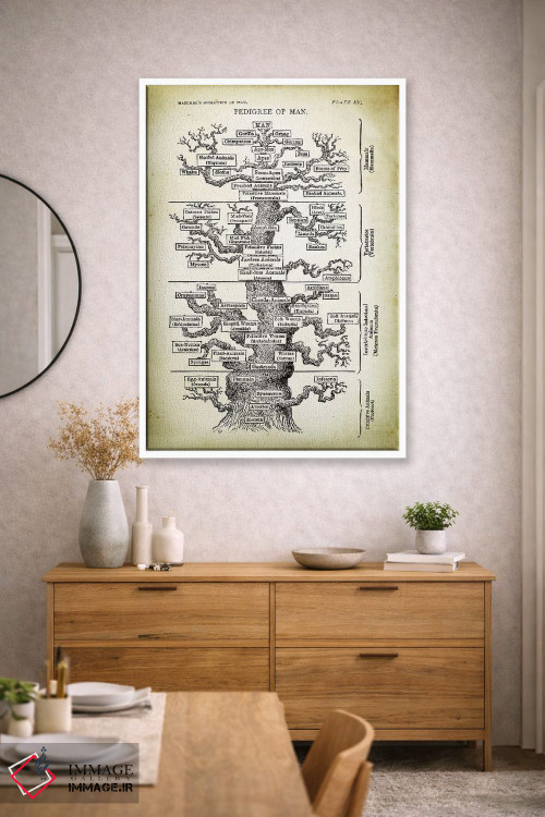 تابلو دکوراتیو شجره نامه انسان اثر پتنت پرینت استور - D2W