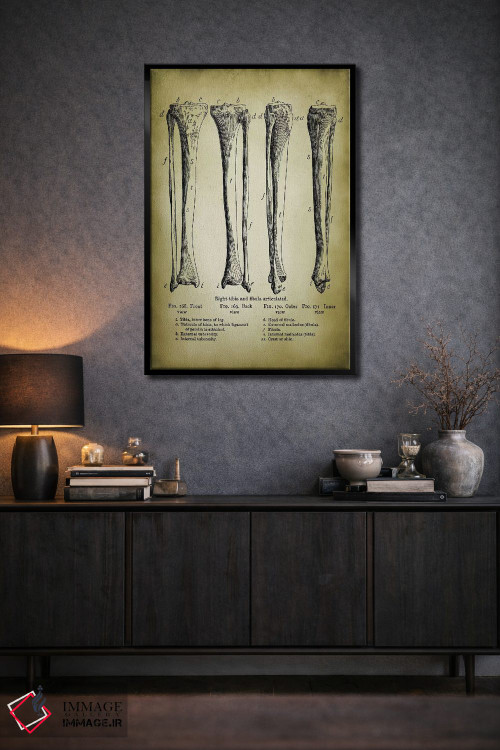 تابلو دکوراتیو استخوان های پا اثر پتنت پرینت استور - D3B
