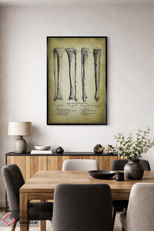 تابلو دکوراتیو استخوان های پا اثر پتنت پرینت استور - D5B