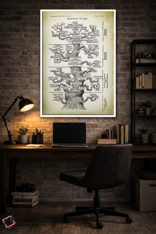 تابلو دکوراتیو شجره نامه انسان اثر پتنت پرینت استور - D4W