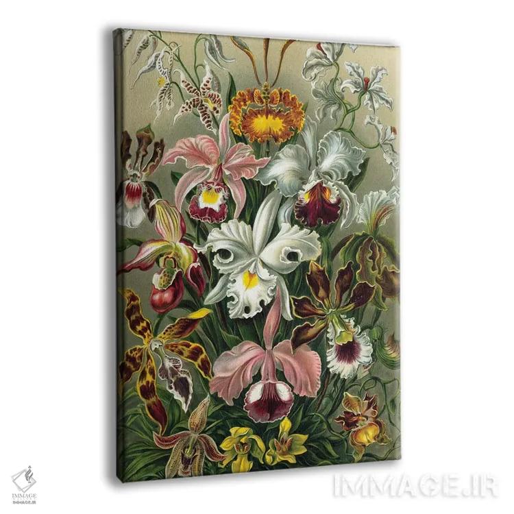 تابلو دکوراتیو ارکیده های هیکل اثر پتنت پرینت استور - نمای پرسپکتیو محصول