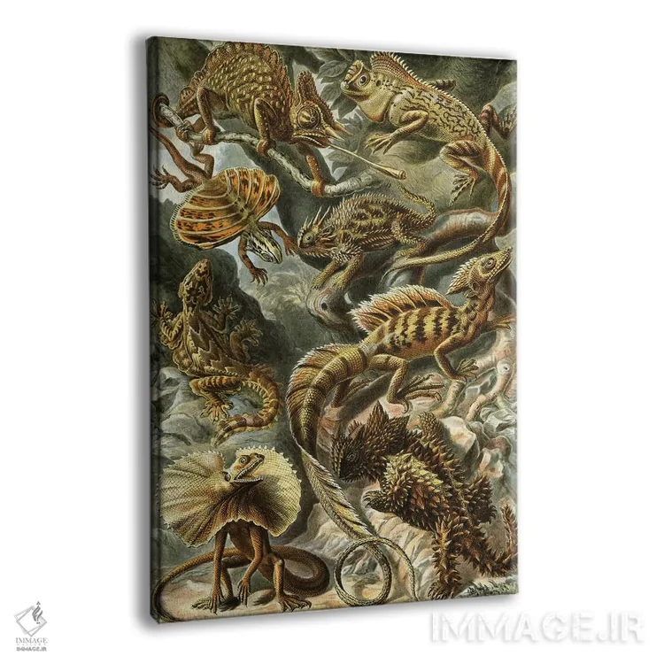 تابلو دکوراتیو مارمولک های هیکل اثر پتنت پرینت استور - نمای پرسپکتیو محصول