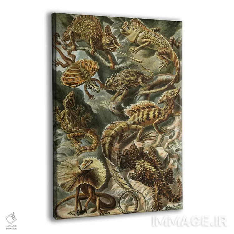 تابلو دکوراتیو مارمولک های هیکل اثر پتنت پرینت استور - نمای پرسپکتیو محصول