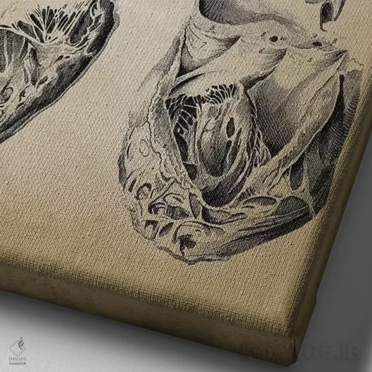 تابلو دکوراتیو آناتومی قلب اثر پتنت پرینت استور - نمای نزدیک بافت بوم