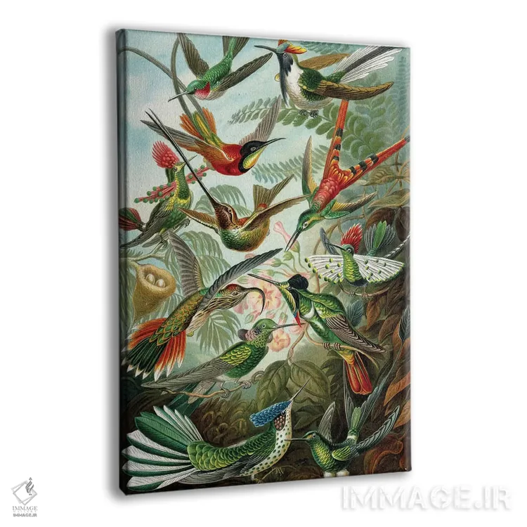 تابلو دکوراتیو مرغ مگس خوارهای هیکل اثر پتنت پرینت استور - نمای پرسپکتیو محصول