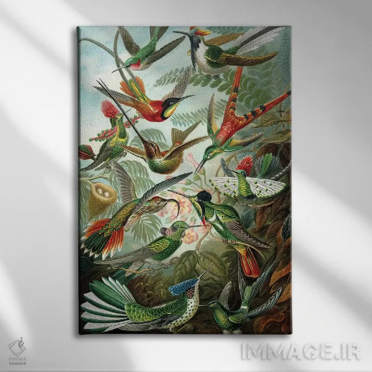 تابلو دکوراتیو مرغ مگس خوارهای هیکل اثر پتنت پرینت استور - نمای روبهرو روی دیوار