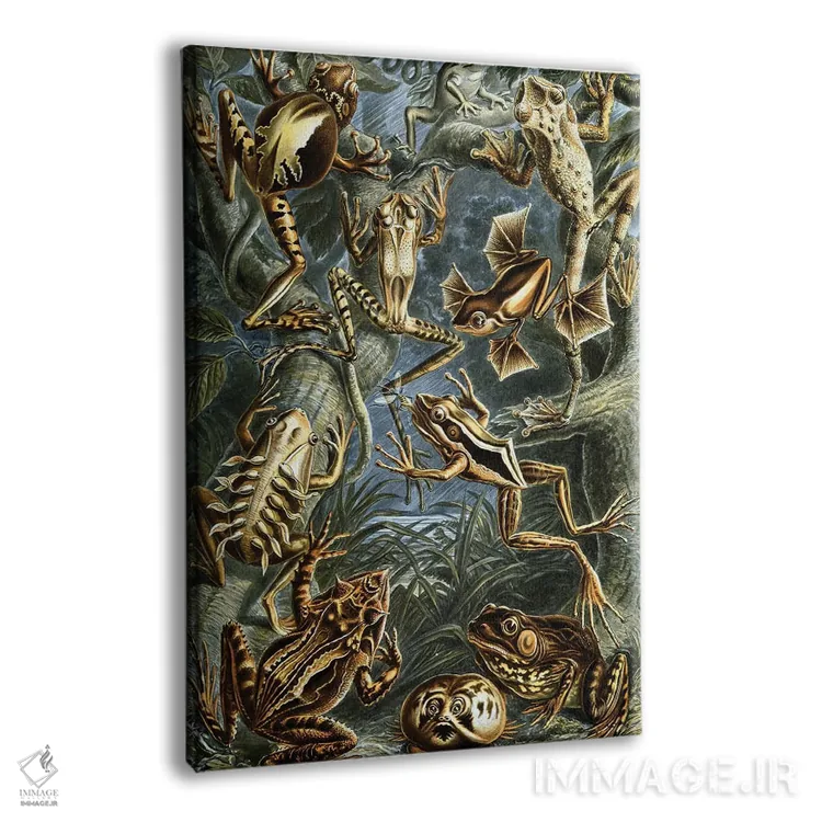 تابلو دکوراتیو قورباغه هیکل اثر پتنت پرینت استور - نمای پرسپکتیو محصول