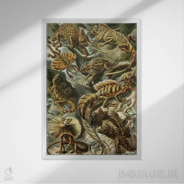 تابلو دکوراتیو مارمولک های هیکل اثر پتنت پرینت استور - نمای قابدار سفید