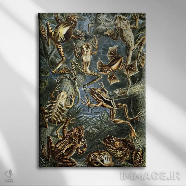 تابلو دکوراتیو قورباغه هیکل اثر پتنت پرینت استور - نمای روبهرو روی دیوار