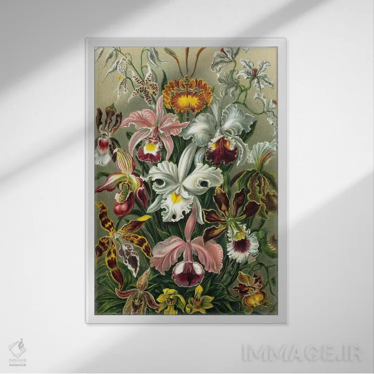 تابلو دکوراتیو ارکیده های هیکل اثر پتنت پرینت استور - نمای قابدار سفید