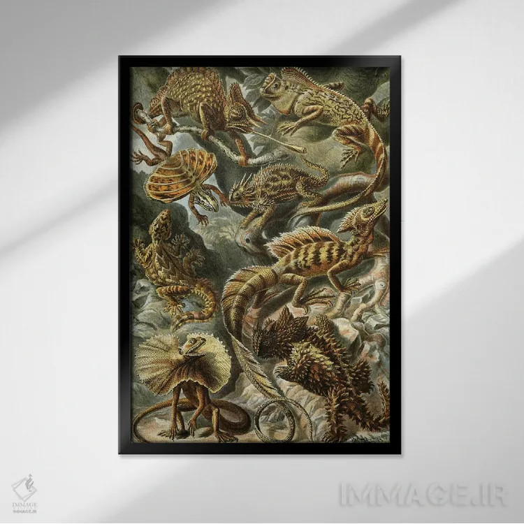 تابلو دکوراتیو مارمولک های هیکل اثر پتنت پرینت استور - نمای قابدار مشکی