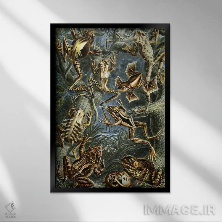 تابلو دکوراتیو قورباغه هیکل اثر پتنت پرینت استور - نمای قابدار مشکی