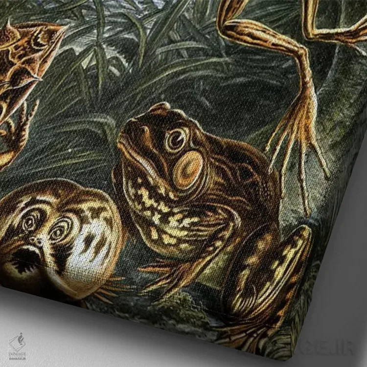 تابلو دکوراتیو قورباغه هیکل اثر پتنت پرینت استور - نمای نزدیک بافت بوم