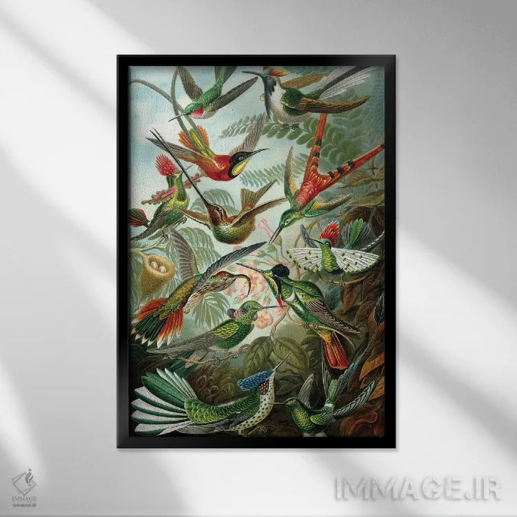 تابلو دکوراتیو مرغ مگس خوارهای هیکل اثر پتنت پرینت استور - نمای قابدار مشکی