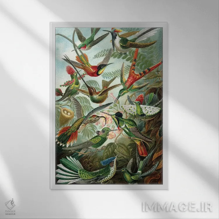 تابلو دکوراتیو مرغ مگس خوارهای هیکل اثر پتنت پرینت استور - نمای قابدار سفید