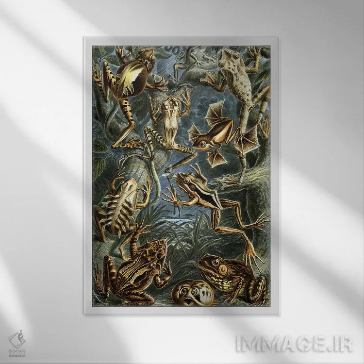 تابلو دکوراتیو قورباغه هیکل اثر پتنت پرینت استور - نمای قابدار سفید