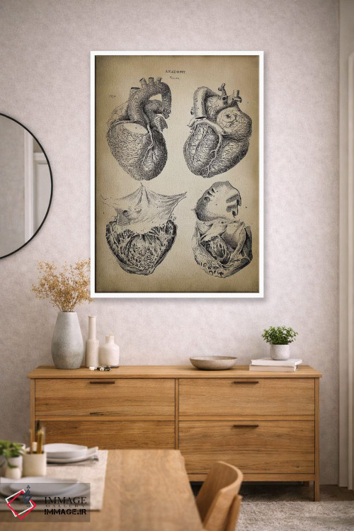 تابلو دکوراتیو آناتومی قلب اثر پتنت پرینت استور - D1W