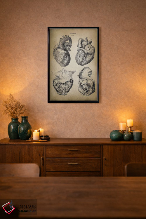 تابلو دکوراتیو آناتومی قلب اثر پتنت پرینت استور - D2B