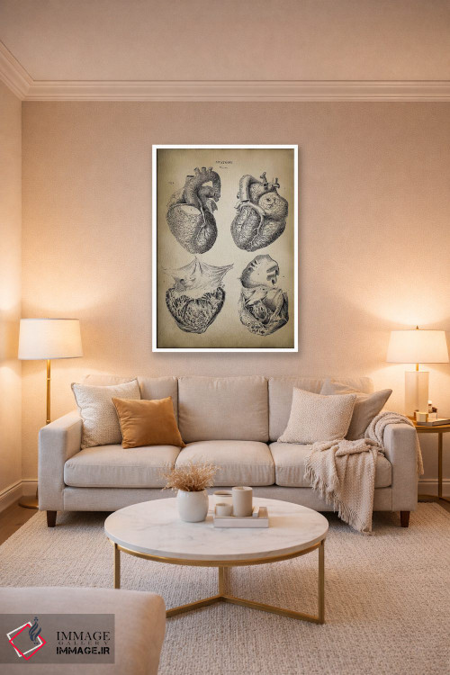 تابلو دکوراتیو آناتومی قلب اثر پتنت پرینت استور - D3W
