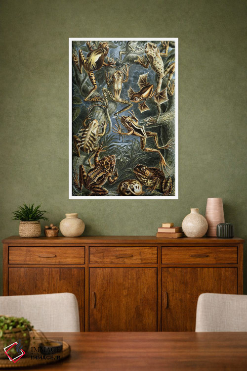 تابلو دکوراتیو قورباغه هیکل اثر پتنت پرینت استور - D1W