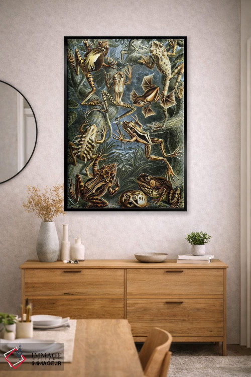 تابلو دکوراتیو قورباغه هیکل اثر پتنت پرینت استور - D2B