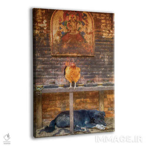 تابلو دکوراتیو بهاکتاپور نپال، گانش، مرغ و سگ خوابیده اثر مارک پائولدا - نمای پرسپکتیو محصول