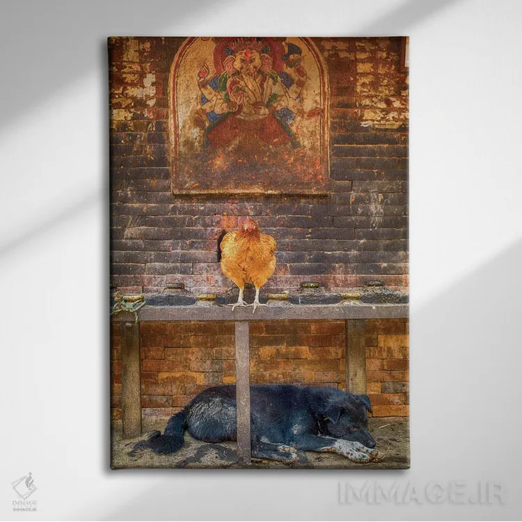 تابلو دکوراتیو بهاکتاپور نپال، گانش، مرغ و سگ خوابیده اثر مارک پائولدا - نمای روبهرو روی دیوار