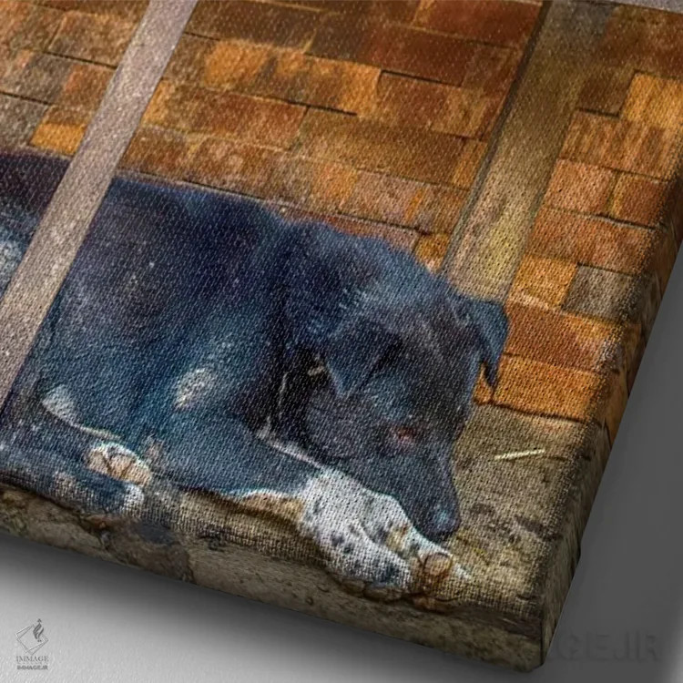 تابلو دکوراتیو بهاکتاپور نپال، گانش، مرغ و سگ خوابیده اثر مارک پائولدا - نمای نزدیک بافت بوم