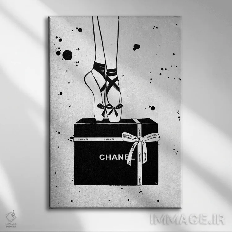 تابلو دکوراتیو بالرین شنل اثر مارتینا پاولوا - نمای روبهرو روی دیوار