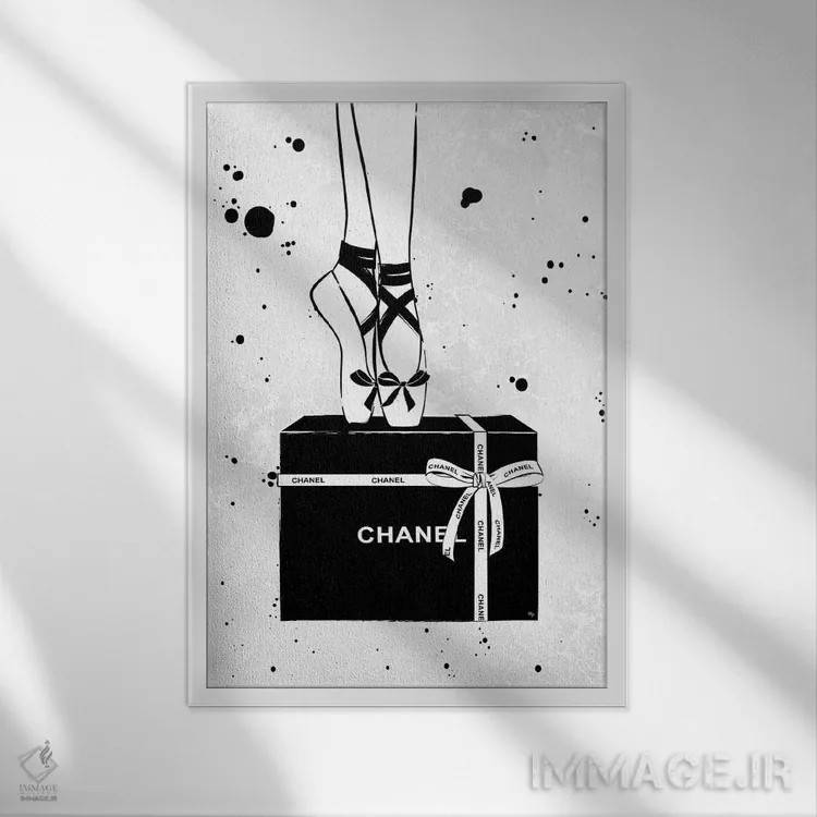 تابلو دکوراتیو بالرین شنل اثر مارتینا پاولوا - نمای قابدار سفید