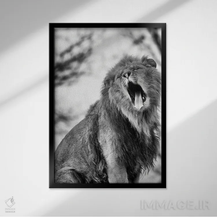 تابلو دکوراتیو یکشنبه تنبل اثر پاتریک ون بکم - نمای قابدار مشکی