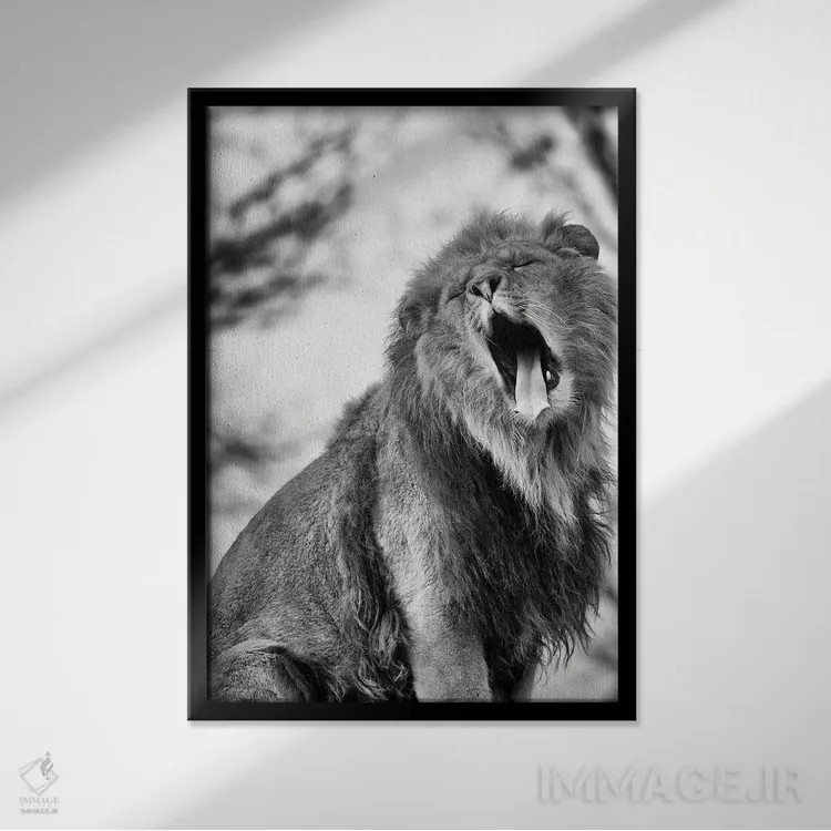 تابلو دکوراتیو یکشنبه تنبل اثر پاتریک ون بکم - نمای قابدار مشکی
