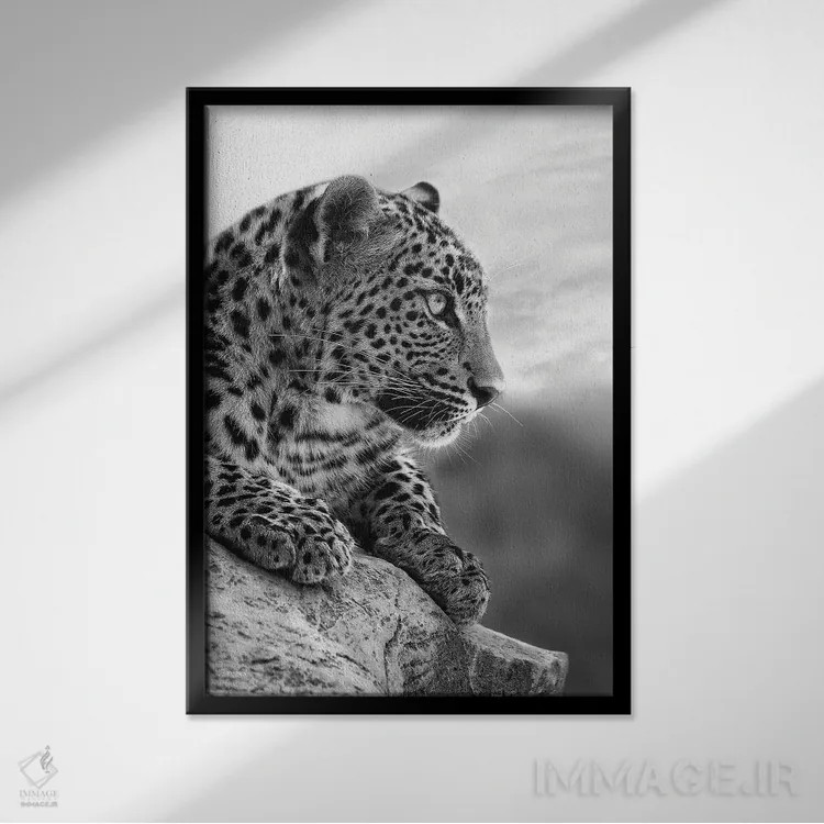 تابلو دکوراتیو روی قله جهان اثر پاتریک ون بکم - نمای قابدار مشکی