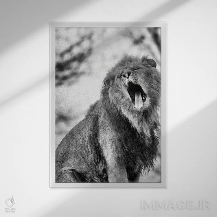 تابلو دکوراتیو یکشنبه تنبل اثر پاتریک ون بکم - نمای قابدار سفید