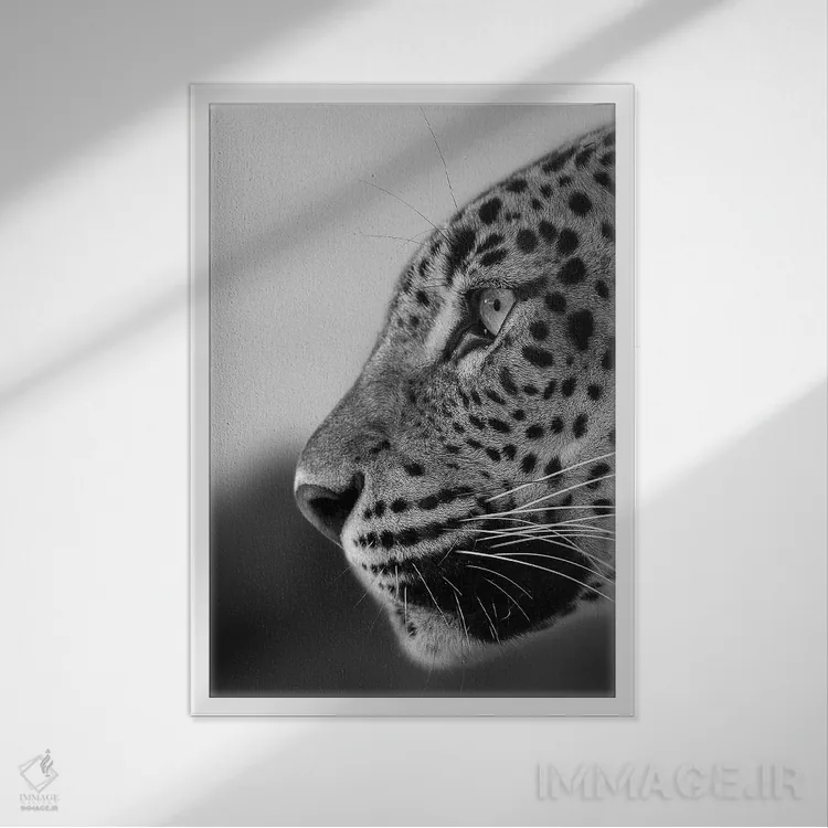 تابلو دکوراتیو به دوردست اثر پاتریک ون بکم - نمای قابدار سفید