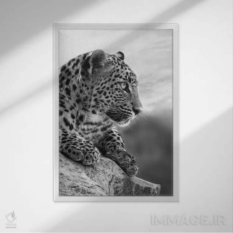تابلو دکوراتیو روی قله جهان اثر پاتریک ون بکم - نمای قابدار سفید