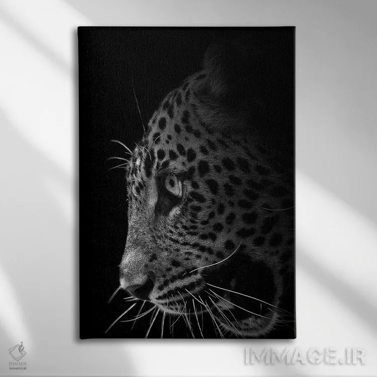 تابلو دکوراتیو خارج از تاریکی اثر پاتریک ون بکم - نمای روبهرو روی دیوار