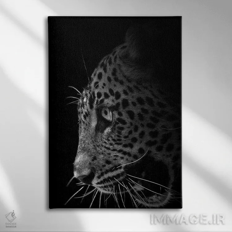 تابلو دکوراتیو خارج از تاریکی اثر پاتریک ون بکم - نمای روبهرو روی دیوار
